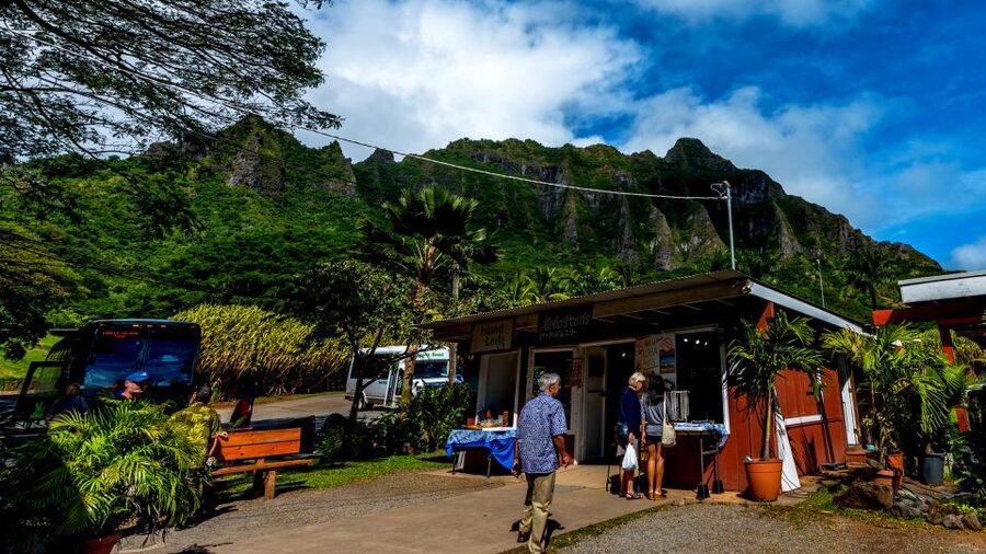 Oahu: Oahu Ultimate Grand Circle Island Tour - Who should book this Oahu tour?