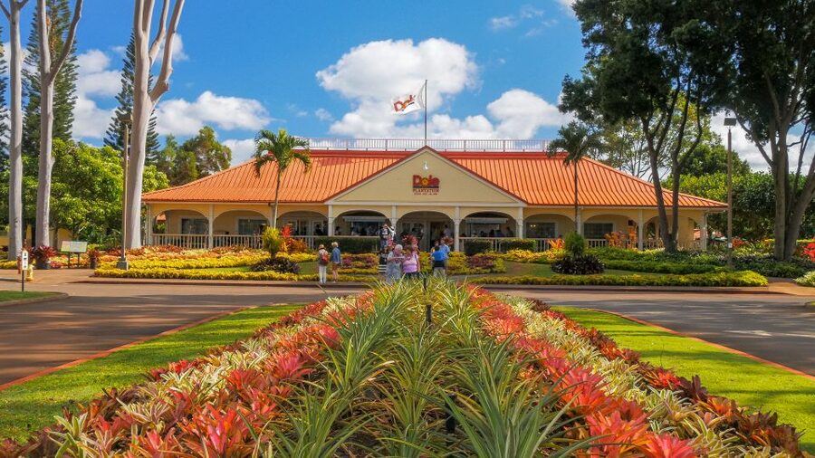 Oahu: Oahu Ultimate Grand Circle Island Tour - Starting at Diamond Head and the Kahala coast