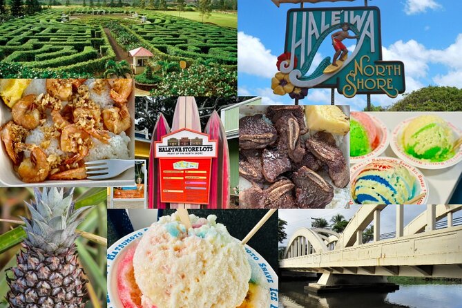 Oahu: Roundtrip Shuttle From Waikiki to Dole Plantation & Haleiwa - Dole Plantation from 9:30 to 11:30 AM