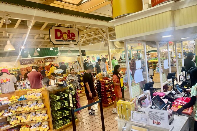 Oahu: Roundtrip Shuttle From Waikiki to Dole Plantation & Haleiwa - The driver can shape the whole day