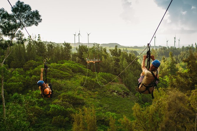 Oahu's North Shore: 8-Line Zipline Adventure - Eight ziplines, from a first short run to the longest line