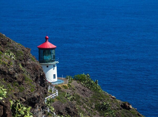 Oahu's Stunning Views: Half-Day Scenic Tour with 7 Lookouts - Key points about Oahu’s seven-lookout tour