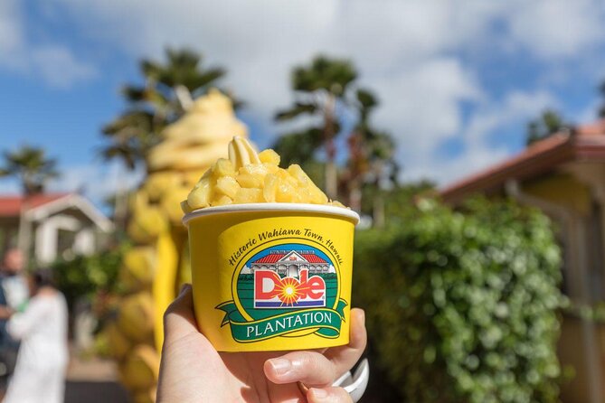 Oahu's Ultimate Tour: Dole, Turtle Snorkel, Pali Lookout & More - Kahuku provides lunch and a taste of the North Shore