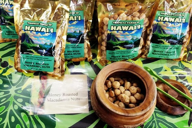Oahu's Ultimate Tour: Dole, Turtle Snorkel, Pali Lookout & More - Turtle snorkeling is exciting, but not a sure thing
