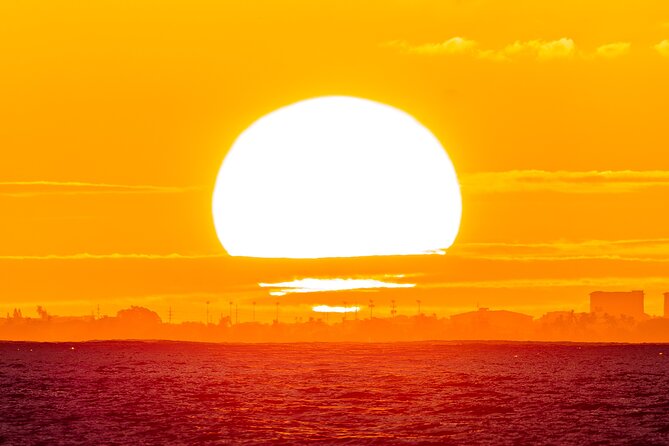 Oahu's Waikiki Coast: Moana’s Sunset Cocktail Sail - Dolphins, humpback whales, and realistic wildlife expectations