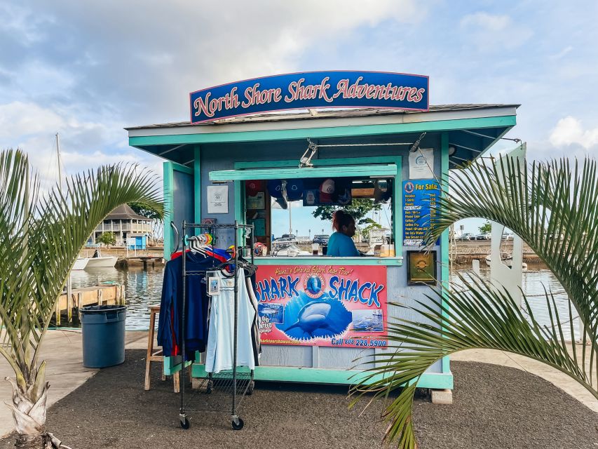 Oahu: Shark Cage Dive on the North Shore - From Haleiwa Harbor to the shark grounds