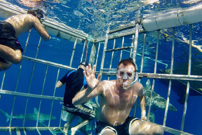 Oahu Shark Dive - The safety briefing sets the tone