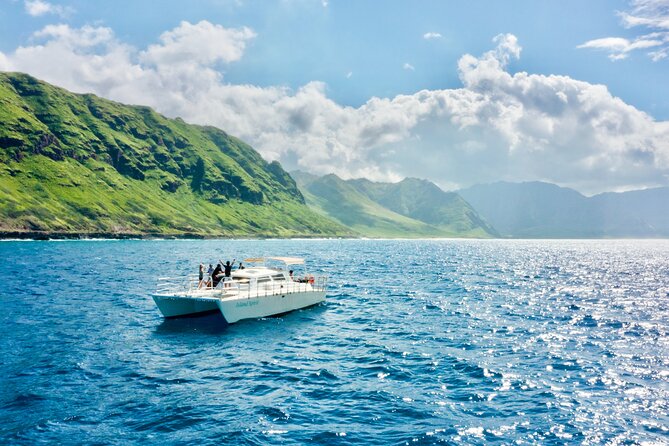 Oahu: Swim with Dolphins on the West Coast - A comfortable catamaran with room to look around