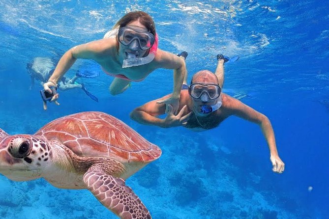 Oahu Ultimate Circle Island Tour Full Day Experience - Why this Oahu tour works for first-time visitors