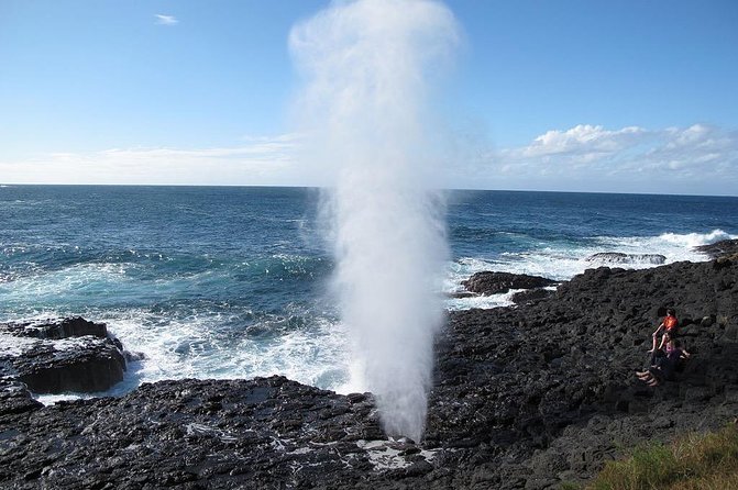 Oahu Ultimate Circle Island Tour Full Day Experience - Shrimp shacks and the Seven Mile Miracle