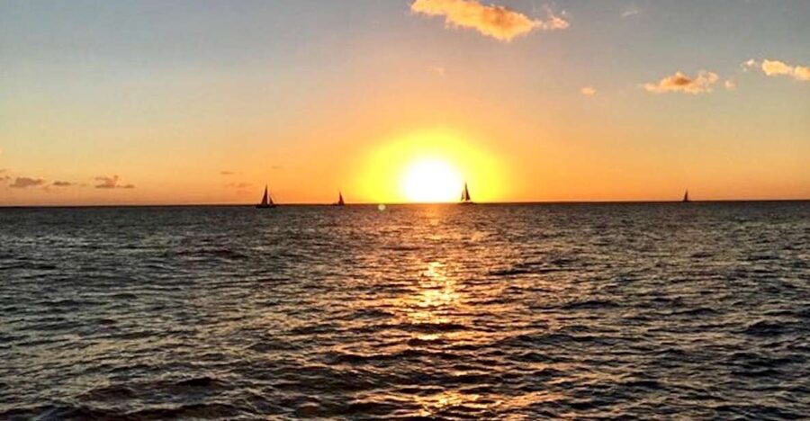 Oahu: Waikiki Glass Bottom Boat Sunset Cruise - What the glass bottom can and cannot show