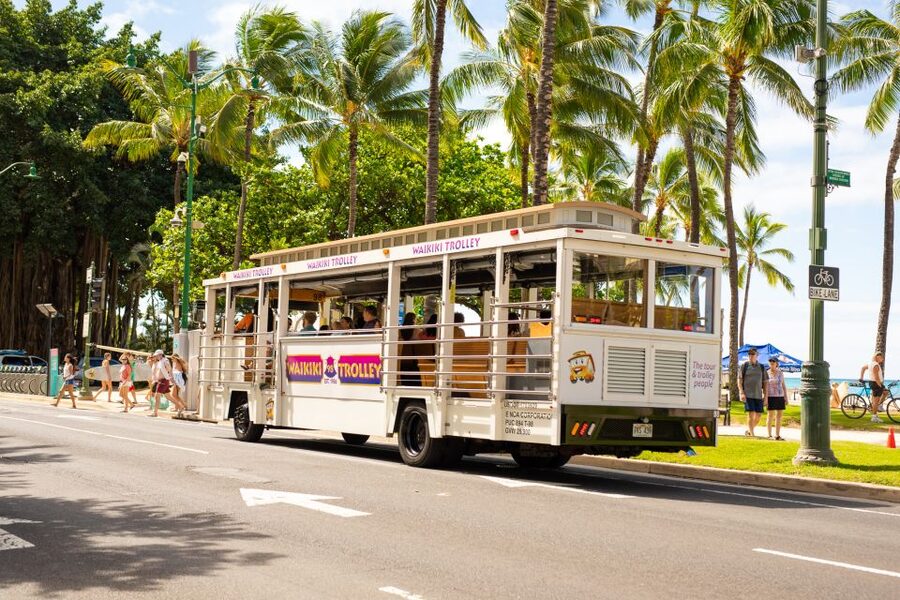 Oahu: Waikiki Trolley Hop-on Hop-off All-Line Pass - Who should book the Waikiki Trolley pass
