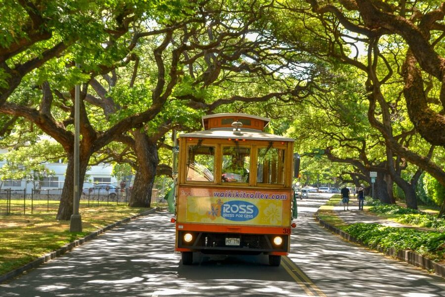 Oahu: Waikiki Trolley Hop-on Hop-off All-Line Pass - Green Line: Diamond Head and the KCC Farmers’ Market