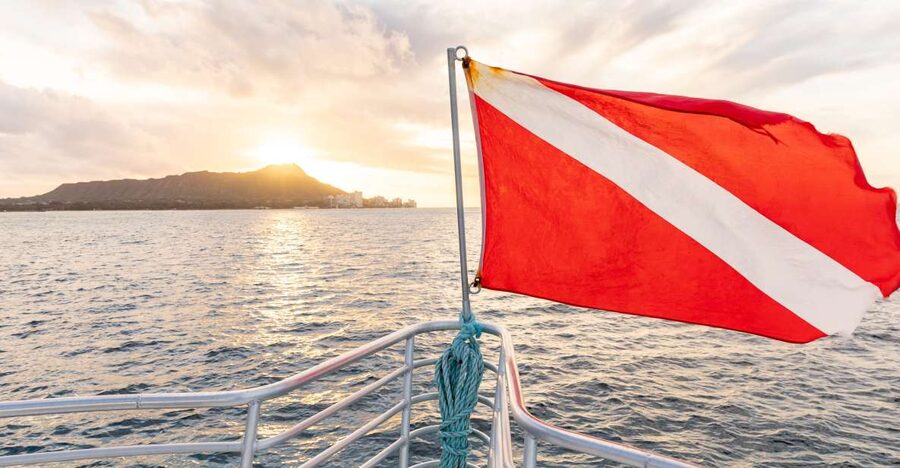 Oahu: Waikiki Turtle Canyons Cruise and Snorkel Excursion - Meeting the Coral Kai at Kewalo Basin