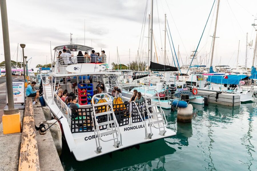 Oahu: Waikiki Turtle Canyons Cruise and Snorkel Excursion - Crew instruction and the human side of the trip