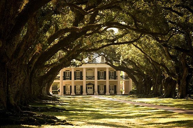 Oak Alley Plantation and Large Airboat Swamp Tour from New Orleans - Two Louisiana icons in one long day