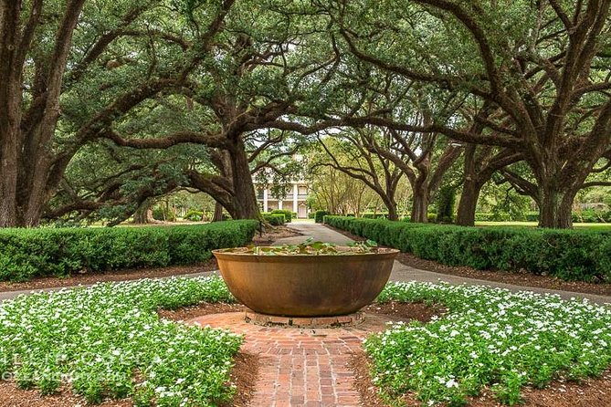 Oak Alley Plantation and Large Airboat Swamp Tour from New Orleans - The airboat is the day’s main rush