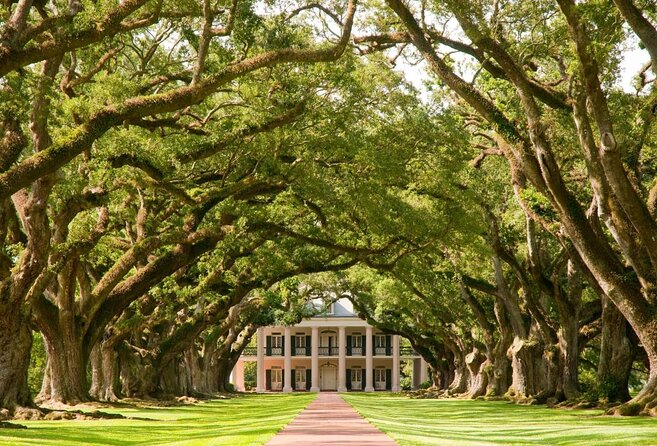 Oak Alley Plantation Tour with Transportation from New Orleans - Key points to know before booking
