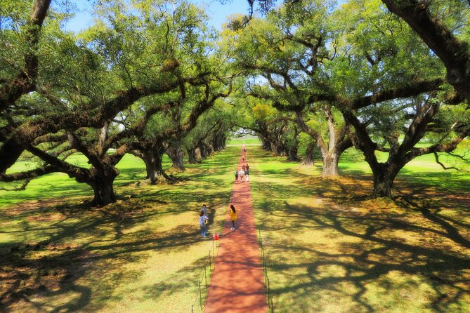 Oak Alley Plantation Tour with Transportation from New Orleans - Who should book this plantation tour