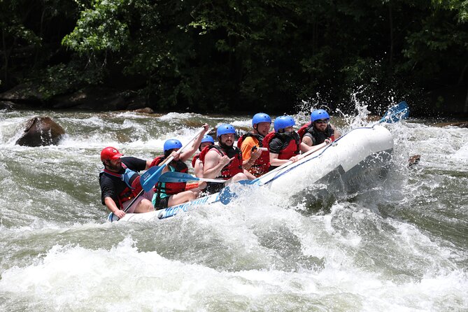 Ocoee River Middle Whitewater Rafting Trip (Most Popular Tour) - Is $48 a good value?