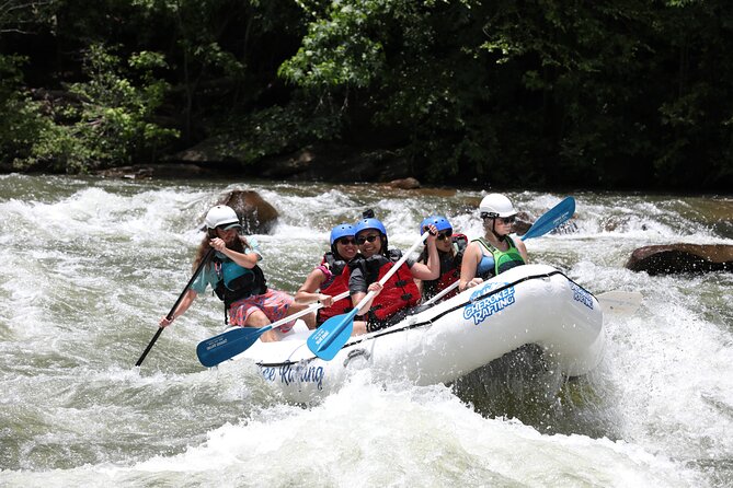 Ocoee River Middle Whitewater Rafting Trip (Most Popular Tour) - Who should book this rafting trip?