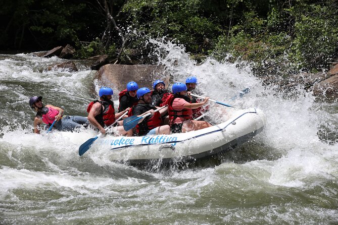 Ocoee River Middle Whitewater Rafting Trip (Most Popular Tour) - Timing, weather, and what to bring