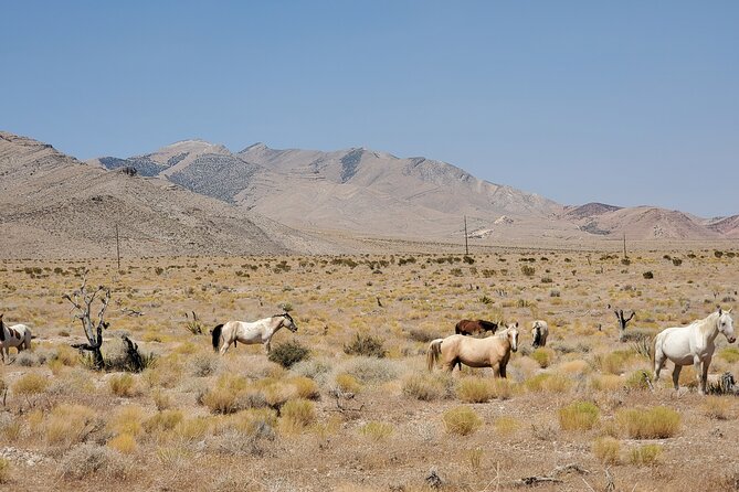 Off Road UTV Adrenaline Experience in Las Vegas - How much adrenaline should you expect?
