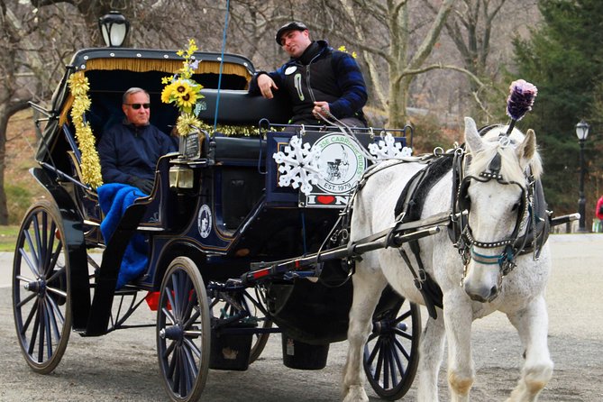 Official NYC Horse Carriage Rides in Central Park since 1979 ™ - Bethesda Fountain and the Lake