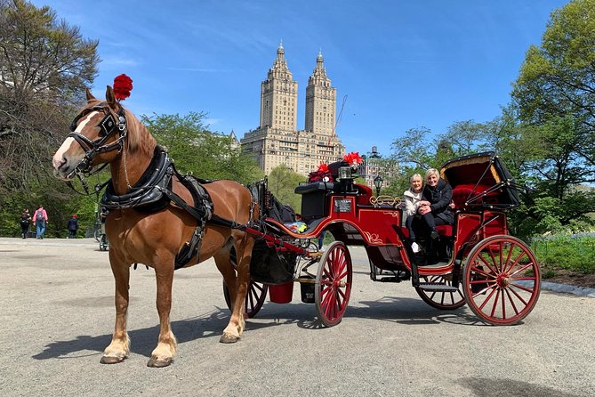 Official NYC Horse Carriage Rides in Central Park since 1979 ™ - Wollman Rink, the Carousel, and the Dairy