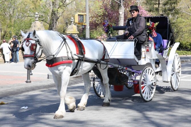 Official Private NYC Central Park Horse Carriage Ride Since 1970™ - Why a carriage is a useful way to see Central Park