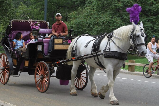 Official Private NYC Central Park Horse Carriage Ride Since 1970™ - Bethesda Terrace is the first major photo stop