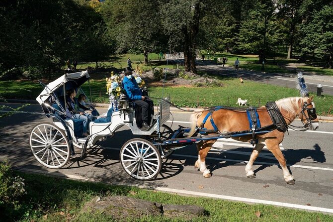 Official Private NYC Central Park Horse Carriage Ride Since 1970™ - Cherry Hill offers the best horse interaction