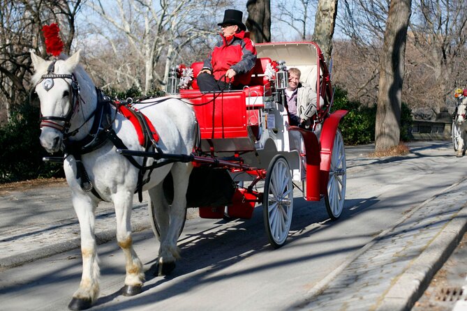 Official Private NYC Central Park Horse Carriage Ride Since 1970™ - Bridges, Strawberry Fields, and film locations