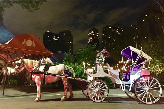 Official Private NYC Central Park Horse Carriage Ride Since 1970™ - Guide quality shapes the experience