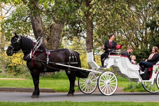 Official Private NYC Central Park Horse Carriage Ride Since 1970™ - Starting at Central Park South