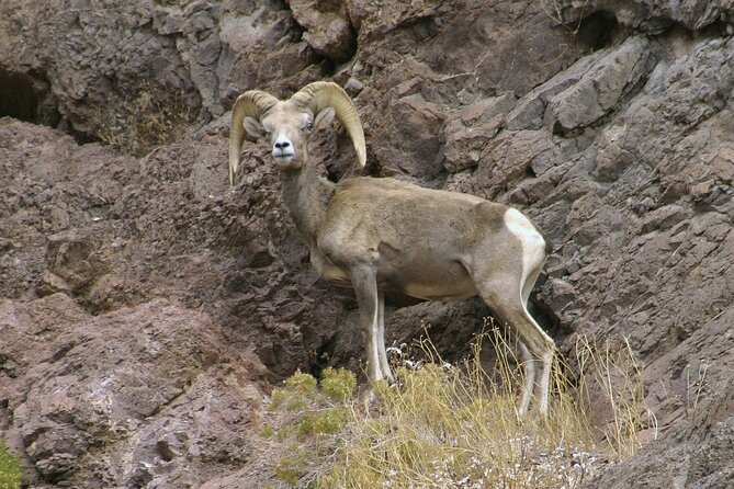 Old West ATV or RZR Adventure with Gold Mine Tour and Lunch - Guides, photos, and the human side of the day