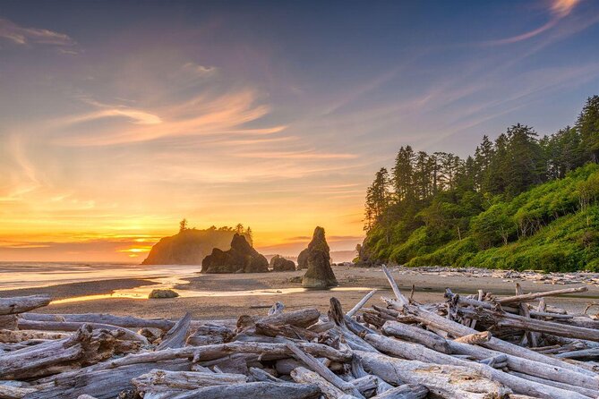 Olympic National Park Small Group Day Tour w/Scenic Ferry 2CanGo - Key points before you book