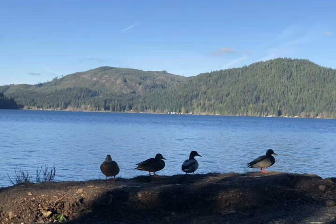 Olympic National Park Small Group Day Tour w/Scenic Ferry 2CanGo - Lake Crescent and the forest walks