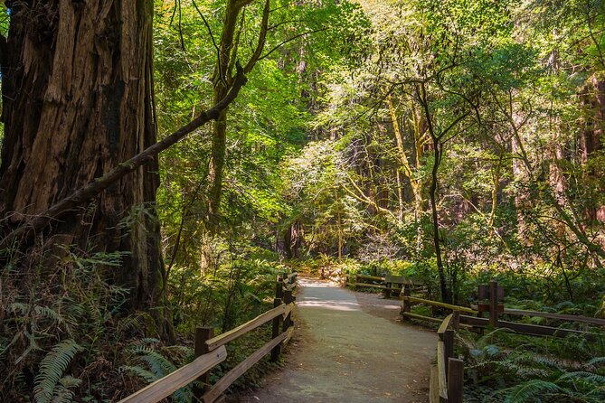 One Day in San Francisco: Alcatraz, Muir Woods, and SF City Tour - A big San Francisco day without renting a car