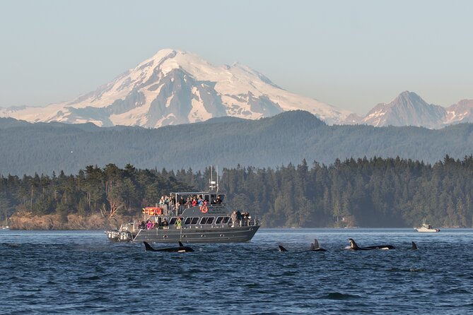 Orcas Island Whale Watching - Setting out from Rosario Road on Orcas Island
