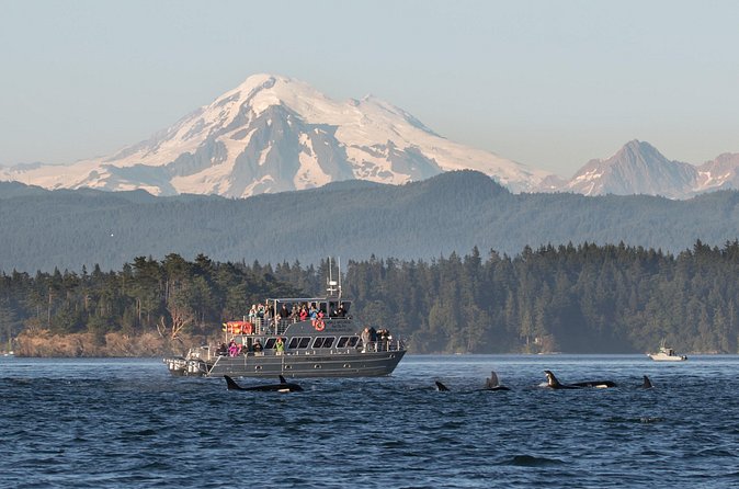 Orcas Island Whale Watching - Crew members who shape the outing