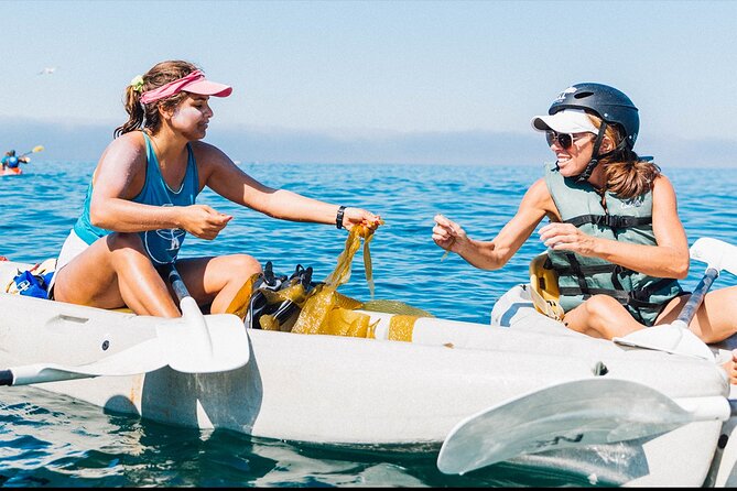 Original La Jolla Sea Cave Kayak Tour for Two - Paddling out from La Jolla Beach
