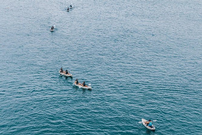 Original La Jolla Sea Cave Kayak Tour for Two - Price, extra fees, and what you receive