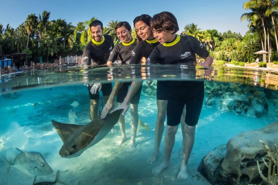 Orlando: Discovery Cove Admission Ticket & Additional Parks - Breakfast first, then the Grand Reef