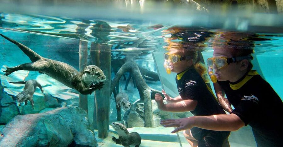 Orlando: Discovery Cove Admission Ticket & Additional Parks - Add-on activities and cabanas can change the budget