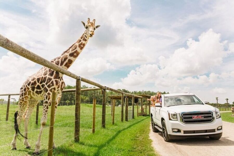 Orlando: Drive-Thru Safari Park at Wild Florida - The 5 MPH Pace and Why It Matters