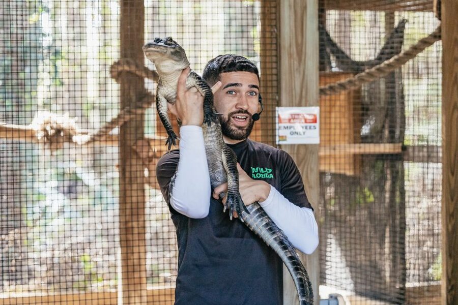Orlando: Drive-Thru Safari Park at Wild Florida - How Long to Allow and What to Bring