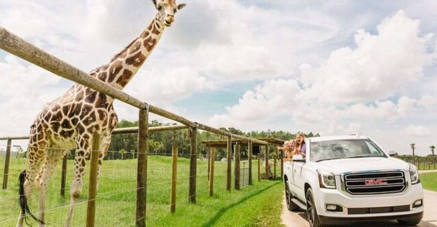 Orlando: Drive-Thru Safari Park at Wild Florida - The Animals You May See Along the Route