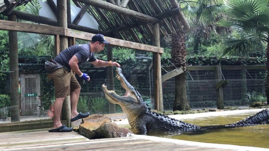 Orlando: Everglades Airboat Ride and Wildlife Park Ticket - Is the $36 ticket good value?