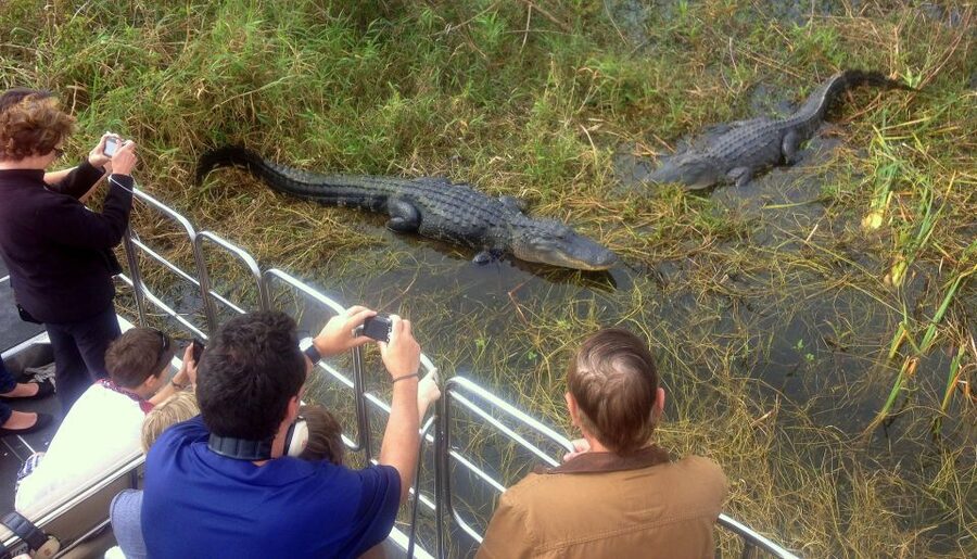 Orlando: Everglades Airboat Ride and Wildlife Park Ticket - Getting there and planning your visit